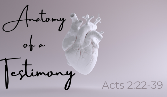 Anatomy of a Testimony