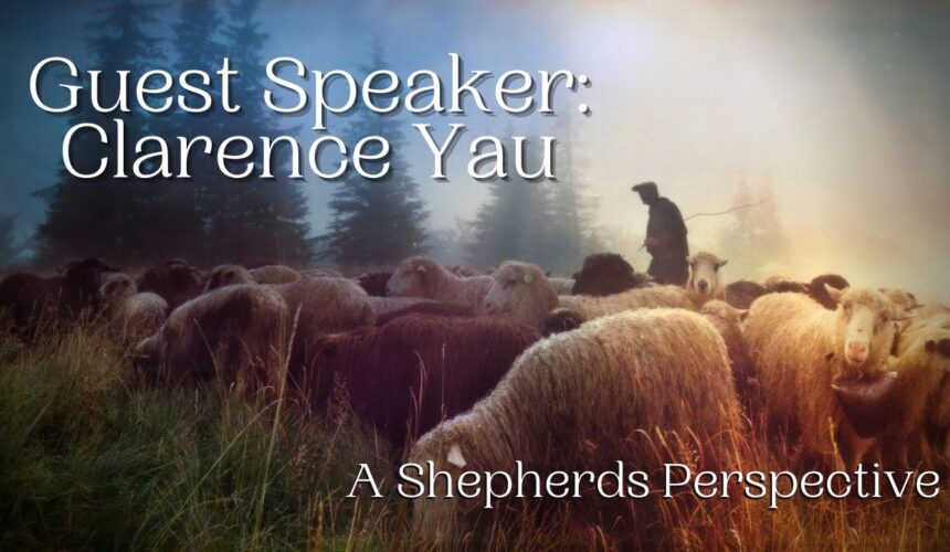 A Shepherds Perspective