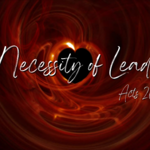 The Necessity of Leadership