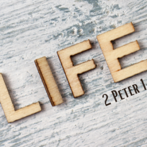 Life – 2 Peter 1:3